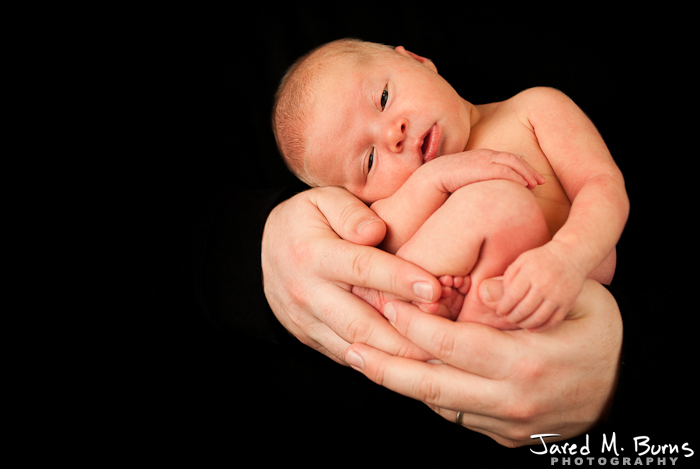 Snohomish Family Photographer - Newborn Portraits - 04.jpg