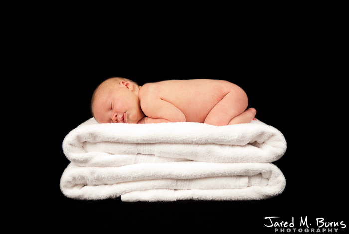 Snohomish Family Photographer - Newborn Portraits - 06.jpg