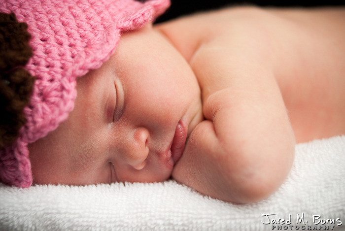 Snohomish Family Photographer - Newborn Portraits - 07.jpg
