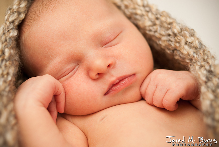 Snohomish Family Photographer - Newborn Portraits - 11.jpg