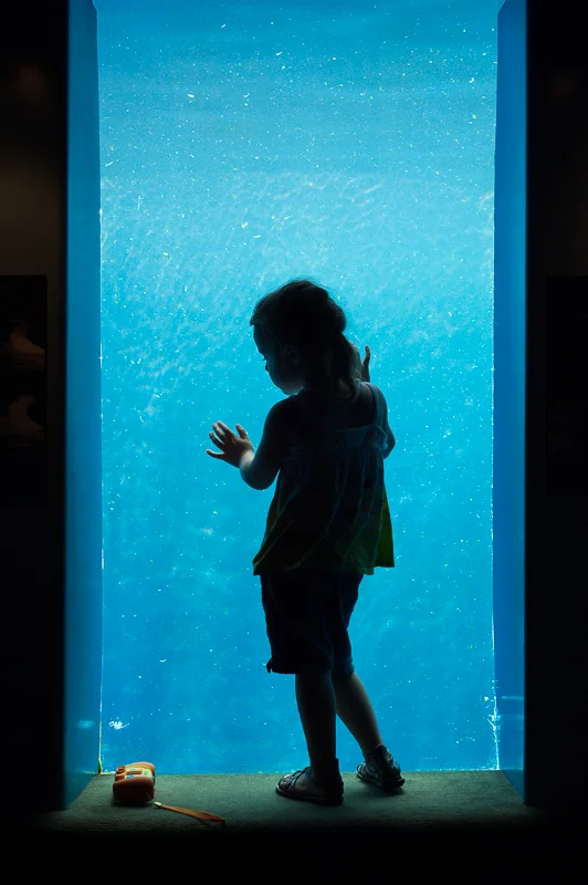 Girl in window.jpg