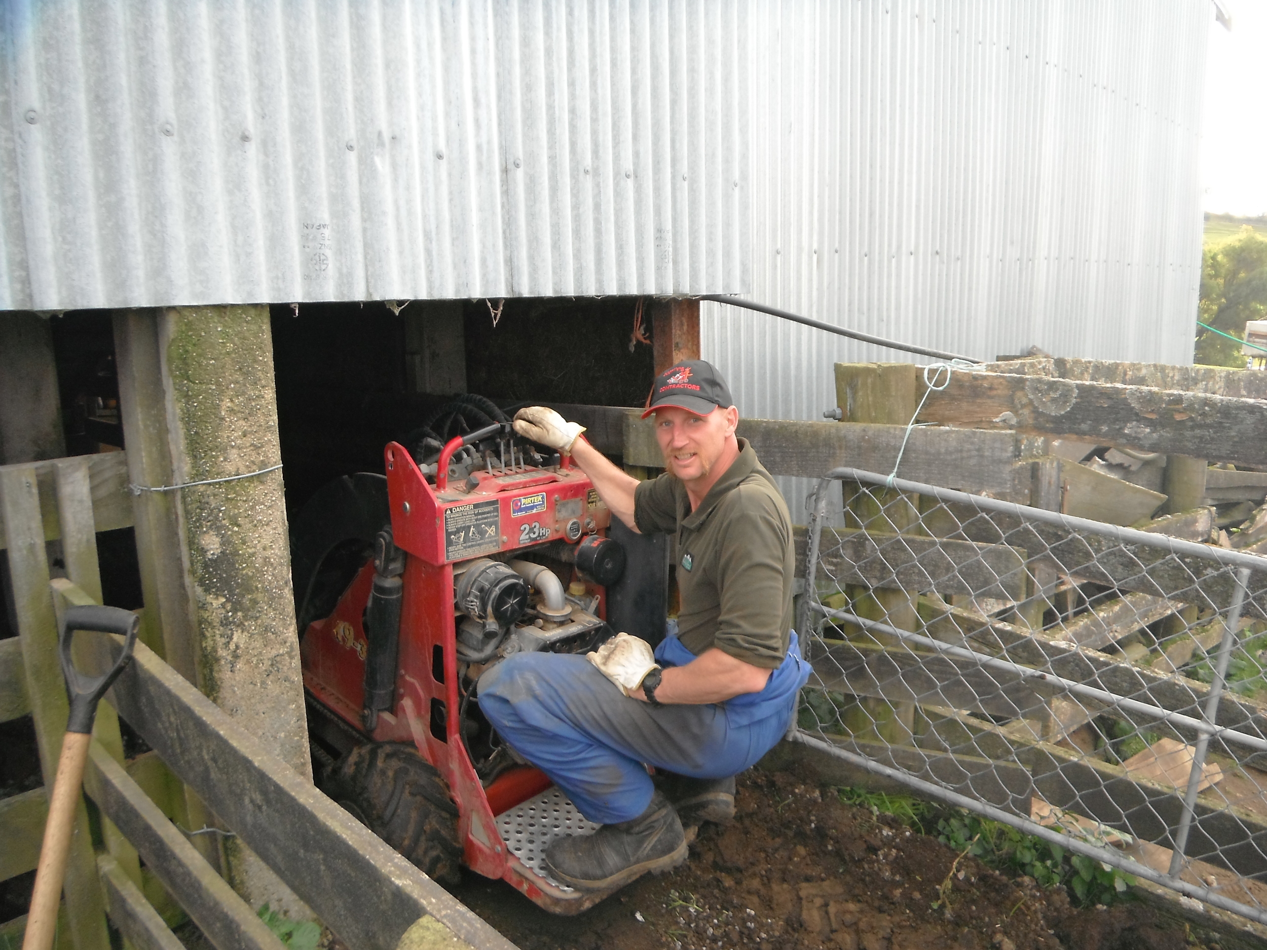 Working under the shed with a dingo
