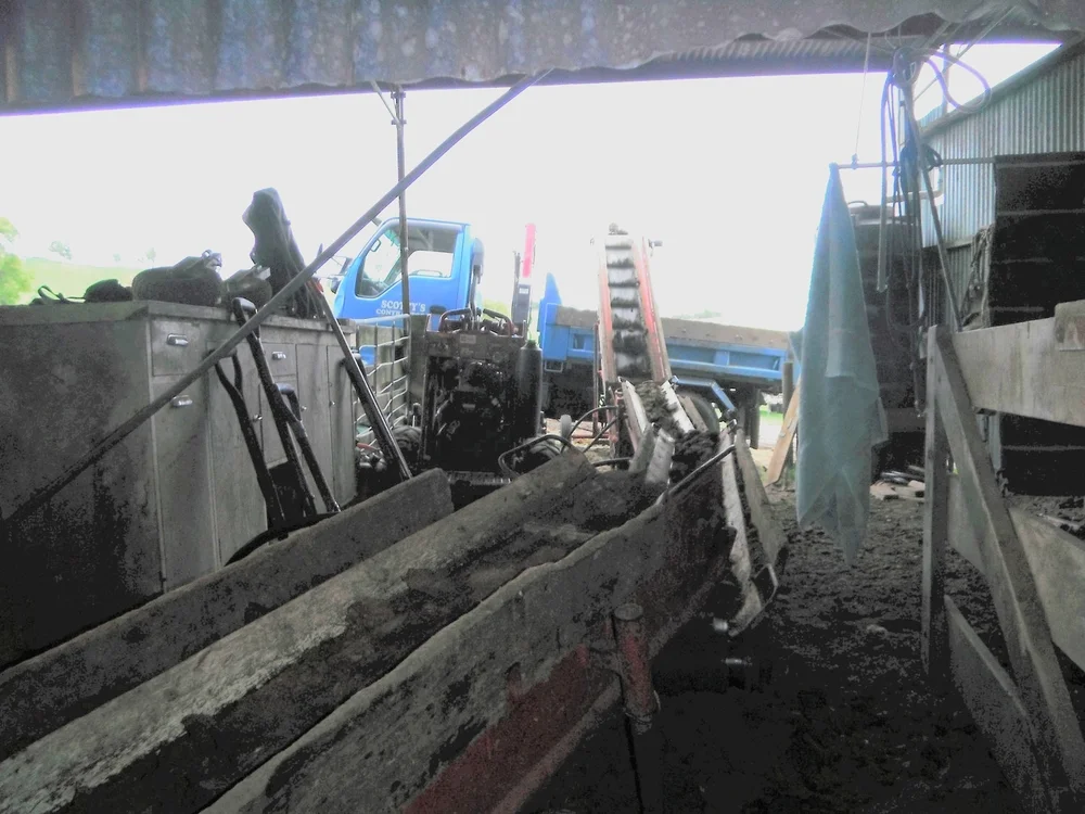conveyor3.jpg