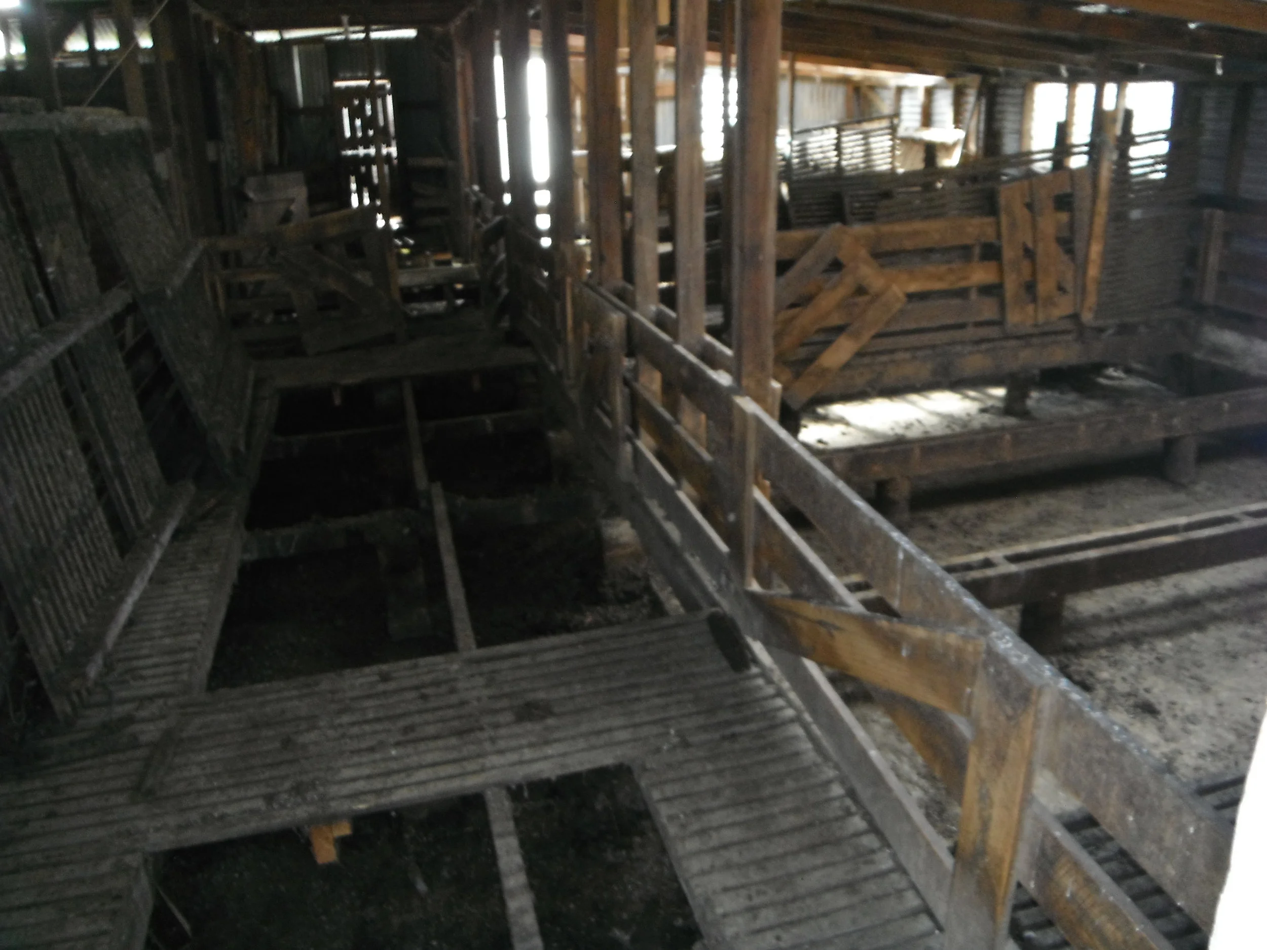 DSCF0440.JPG