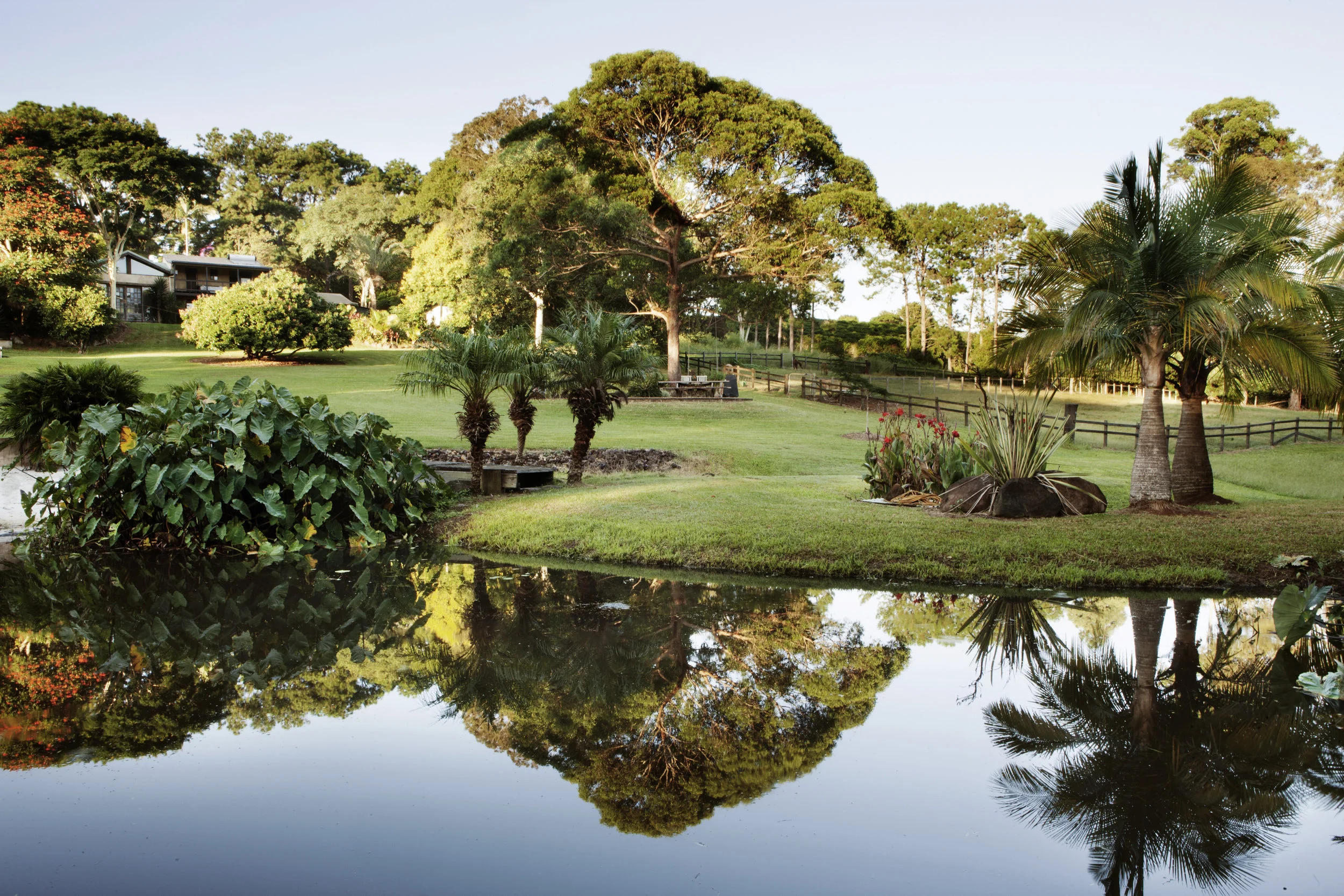 GARDEN Lake reflection.jpg