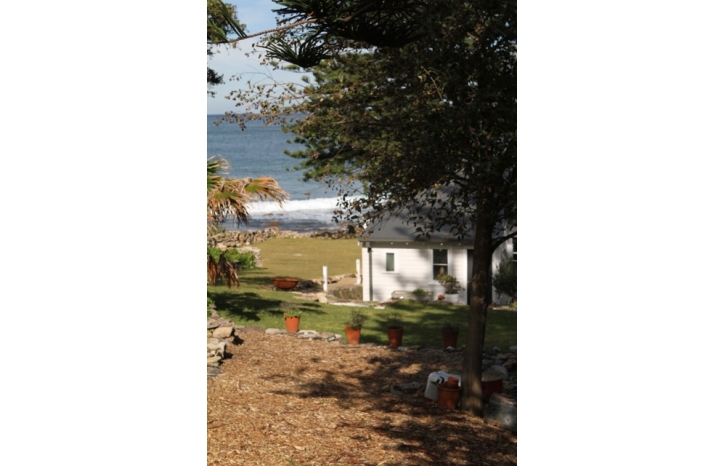 SHAYNE_ALLEN_THE BEACH HOUSE IN AVALON_show-IMG1557.jpg