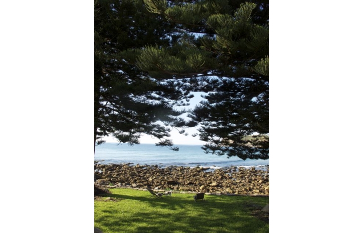 SHAYNE_ALLEN_THE BEACH HOUSE IN AVALON_show-IMG2198.jpg