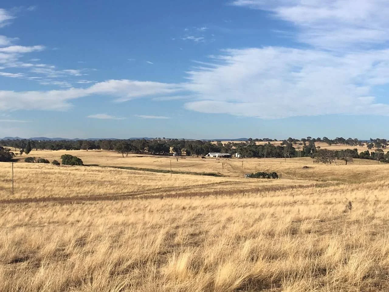 SHAYNE_ALLEN_VALE_VIEW_IMG_1161.jpg