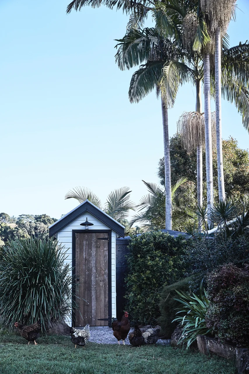 Shayne_Allen_Clunes_House2.jpg