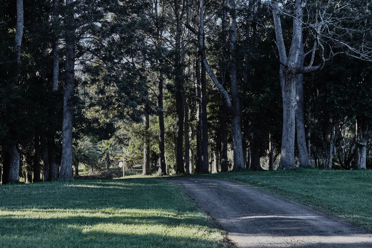 Shayne_Allen_Clunes_House43.jpg