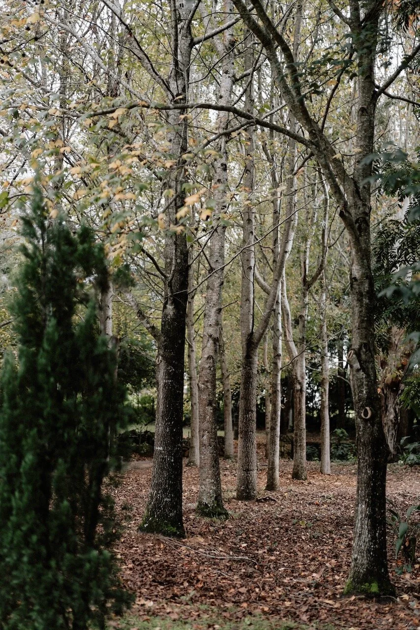 LaRoyalVillaShayneAllen - 14.jpeg