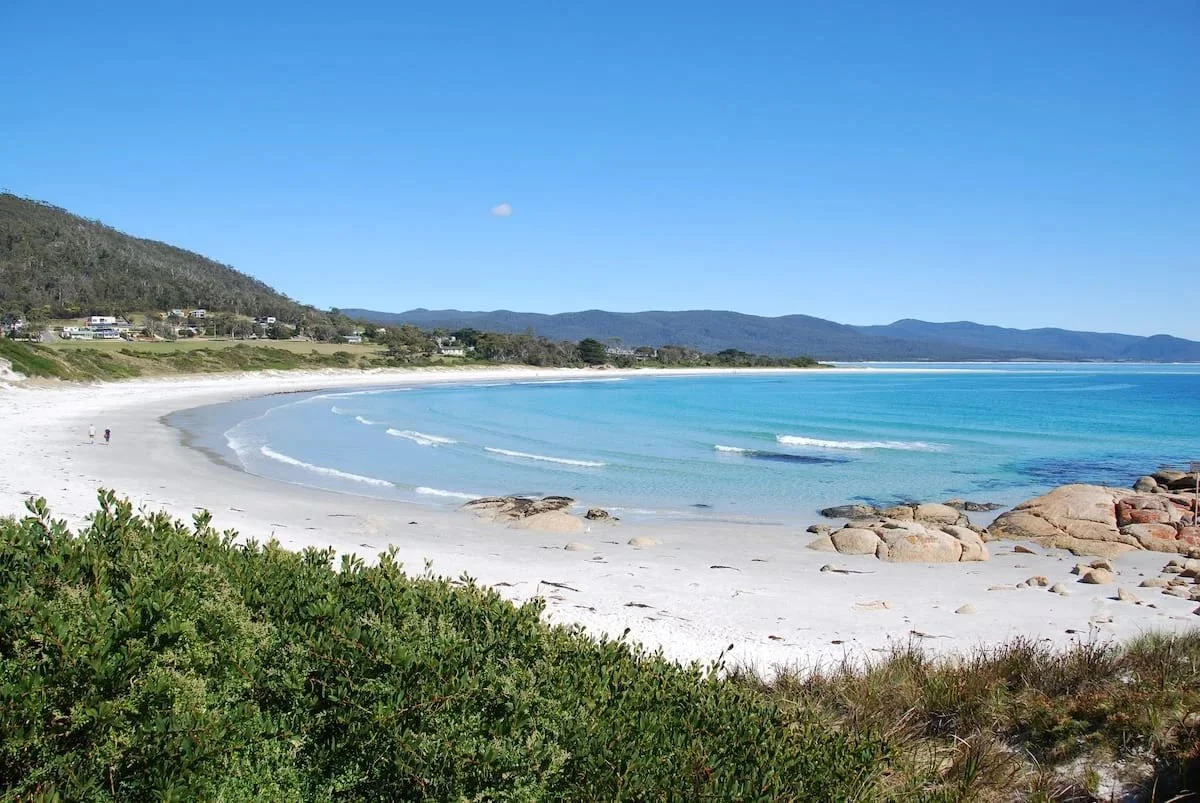 Whalers shayne allen - 14.jpeg