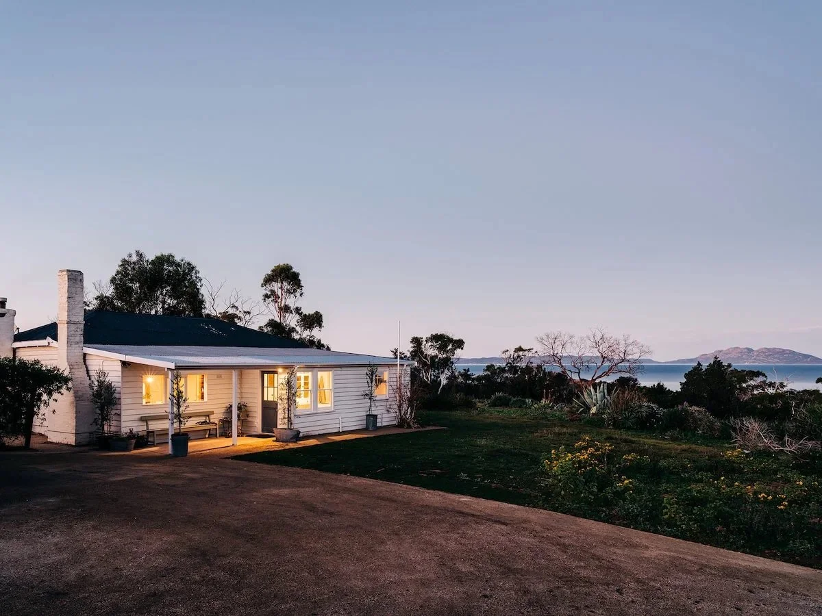 The Hazards shayne allen - 8.jpeg