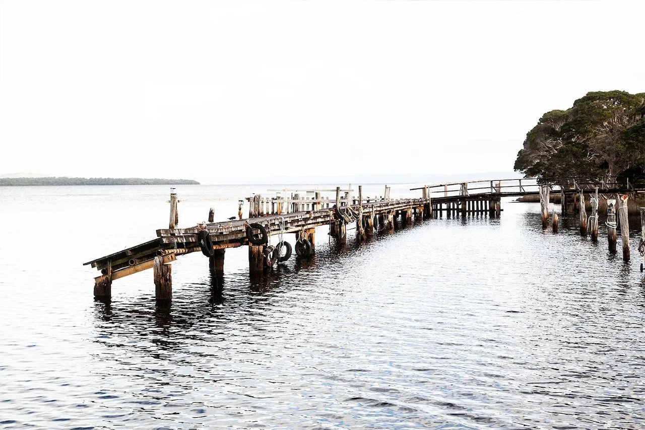 Birdsong shayne allen - 9.jpeg