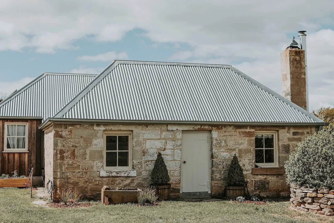 Lime Plaster shayne allen - 16.jpeg
