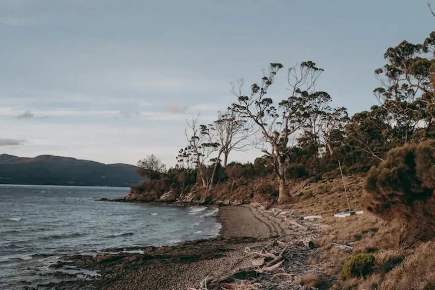 Kettleish Zone shayne allen - 5.jpeg