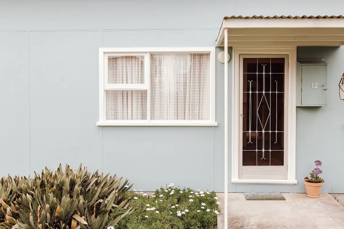 Blueys shayne allen - 1.jpeg