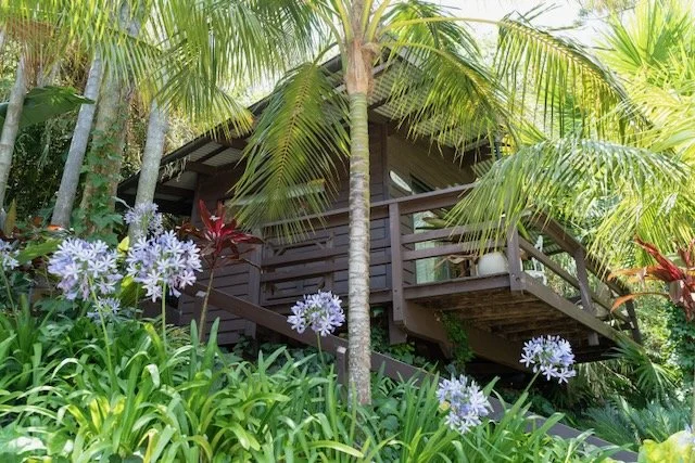 Magnum Pi Shayne Allen - 10.jpeg