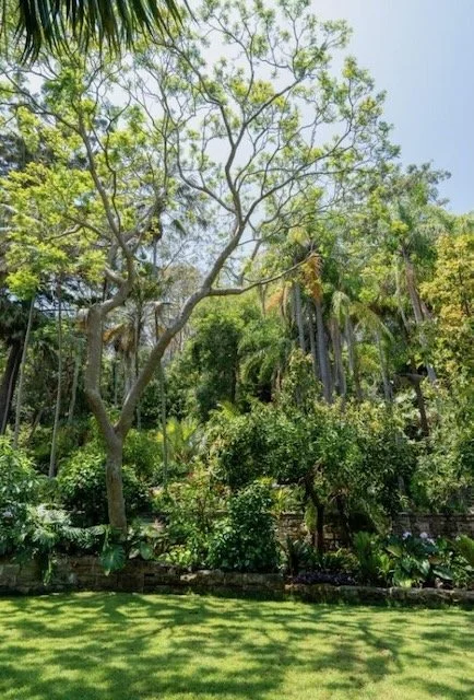 Magnum Pi Shayne Allen - 21.jpeg