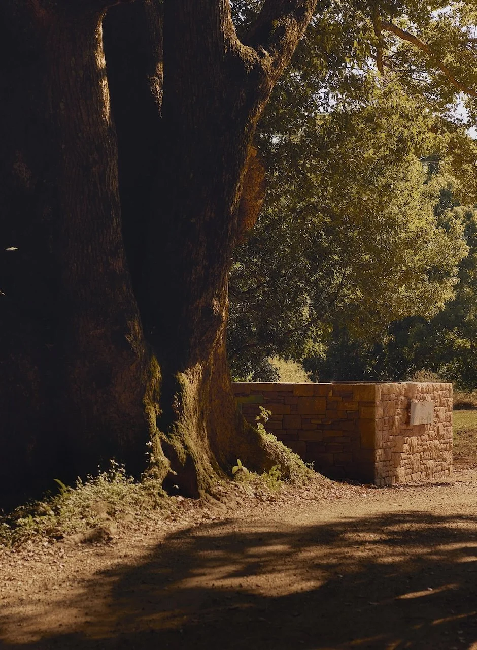 The Copper Stone Estate - 4.jpeg