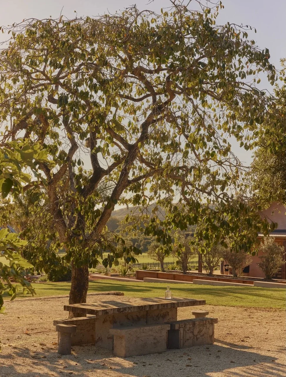 The Copper Stone Estate - 9.jpeg