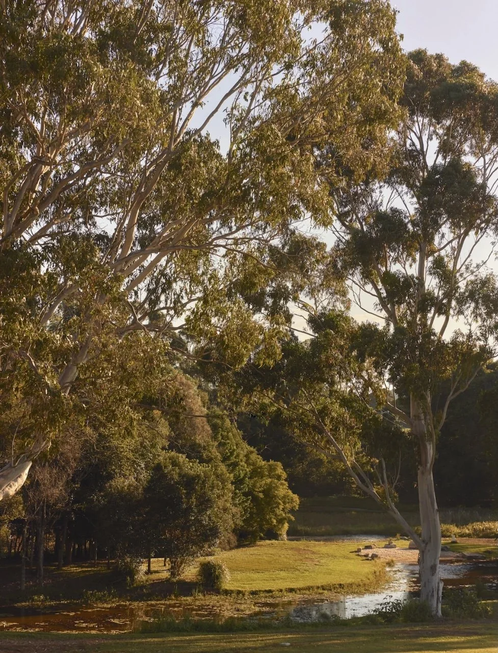 The Copper Stone Estate - 16.jpeg