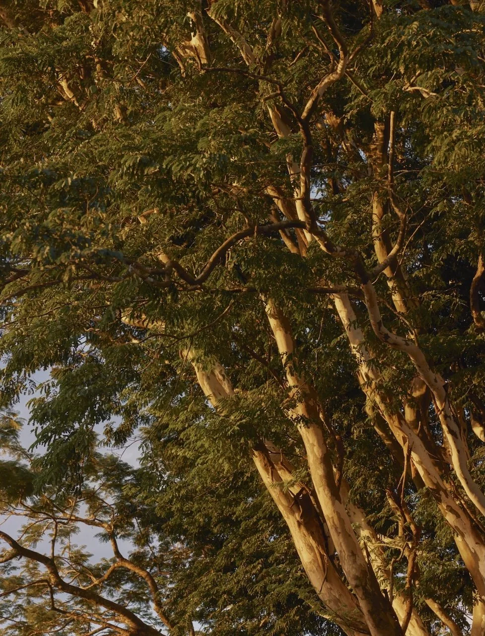 The Copper Stone Estate - 22.jpeg