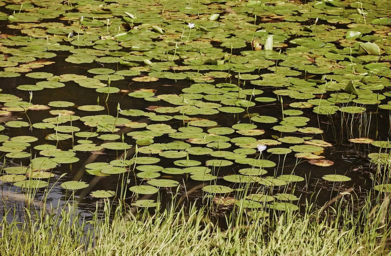 The Copper Stone Estate - 23.jpeg