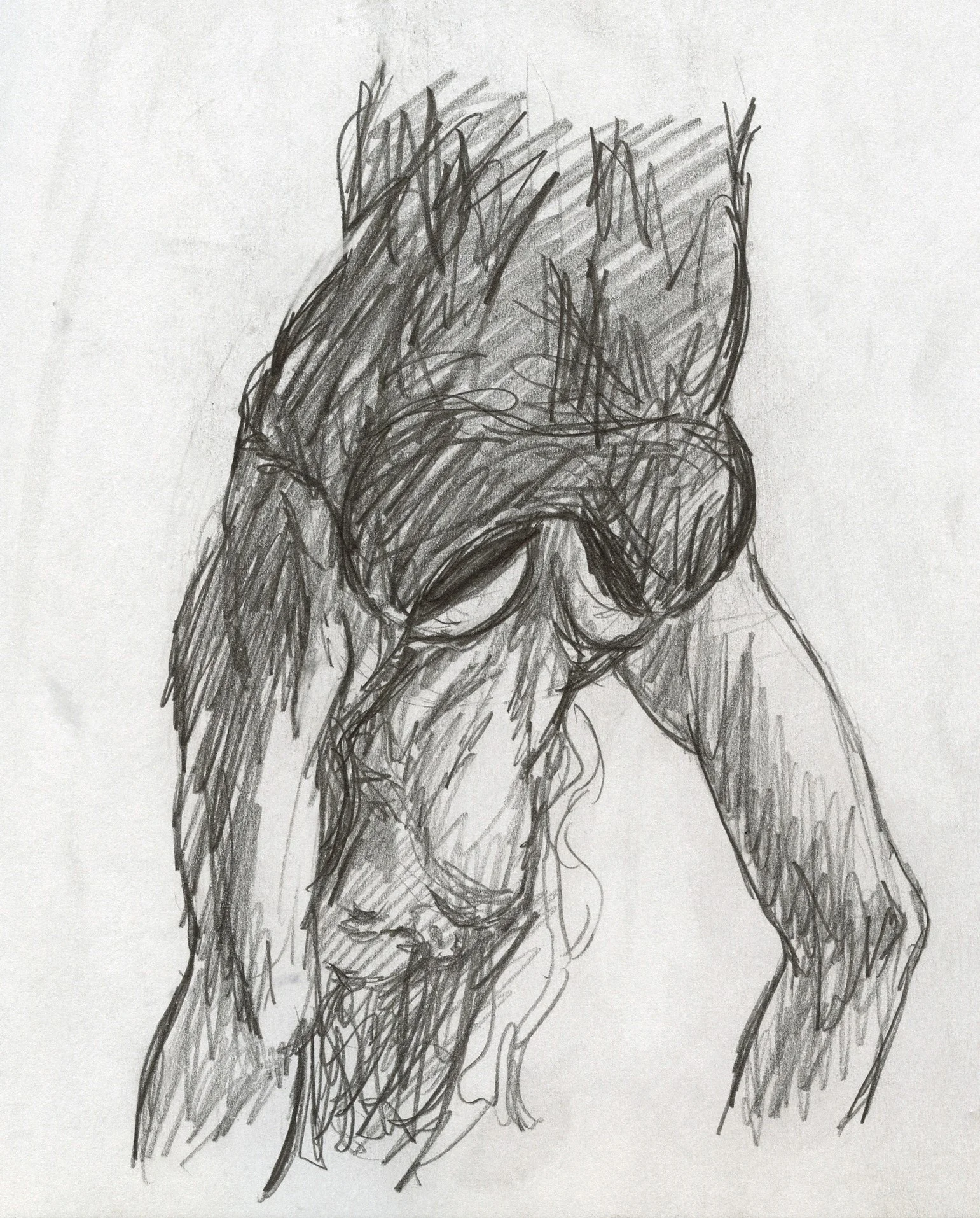 Shibari 3
