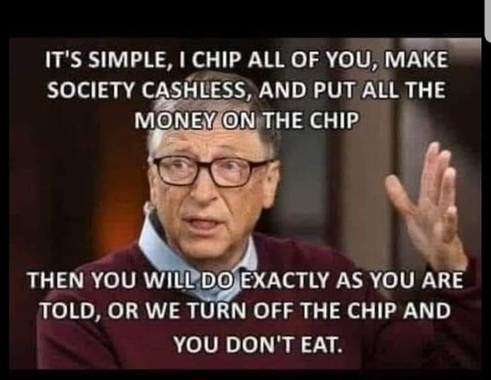 Bill Gates and a chipped society.jpg