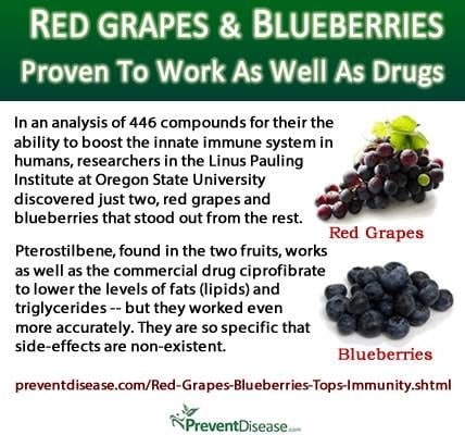 Blueberries and red grapes.jpg