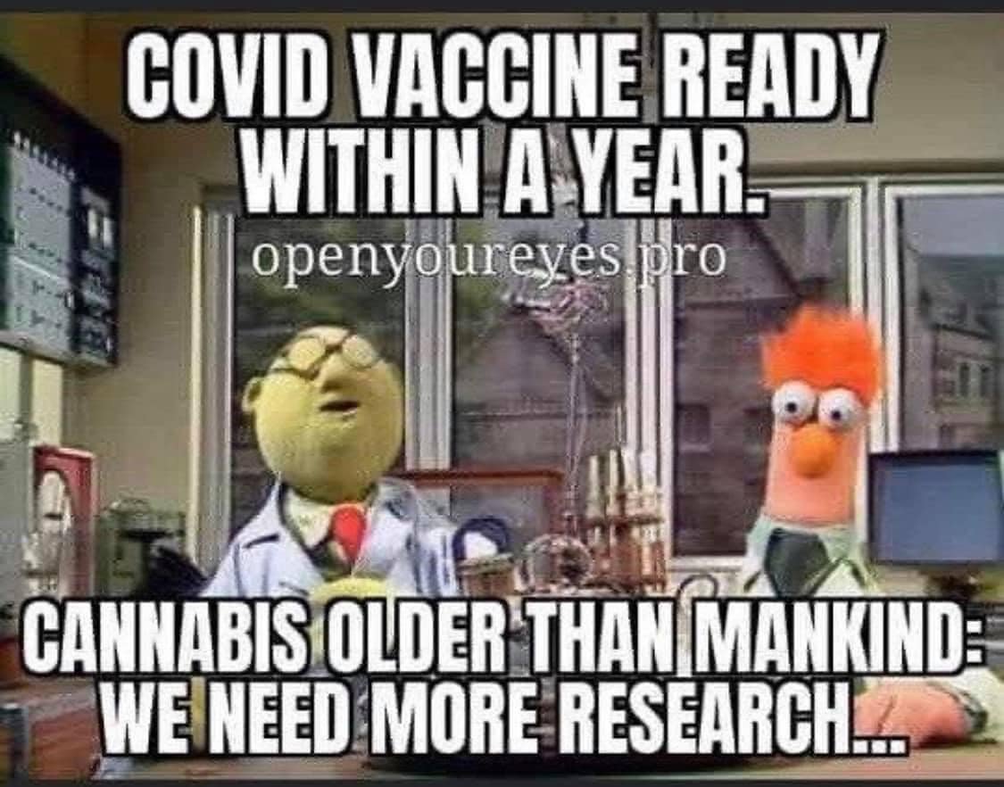 Cannabis - Vaccine.jpg