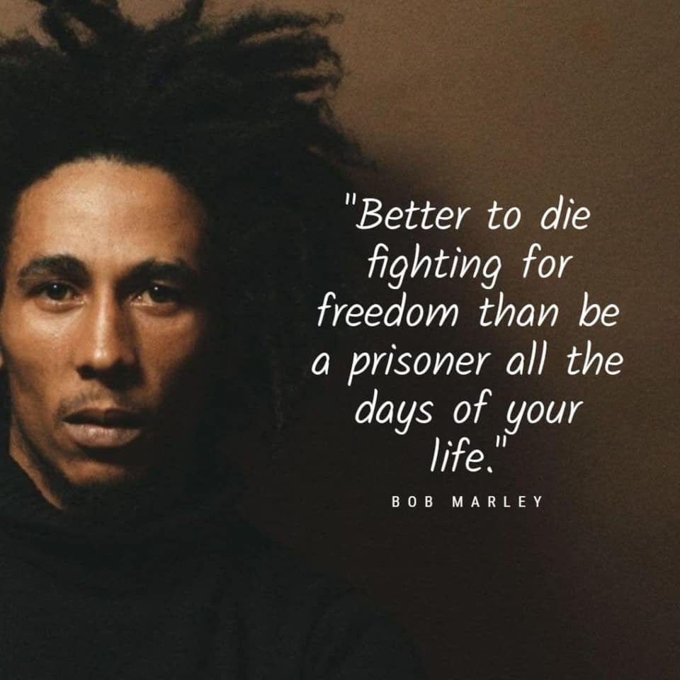 Freedom Bob.jpg