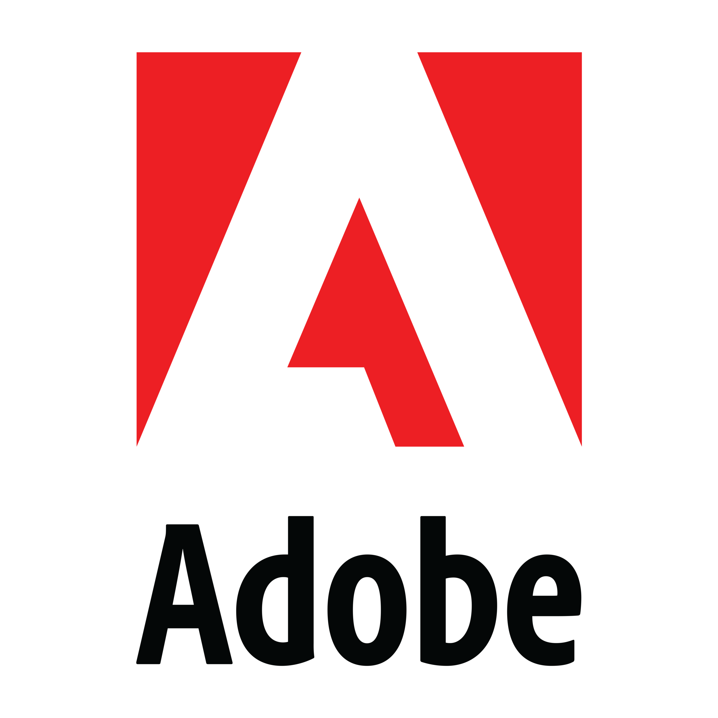 adobe1.png