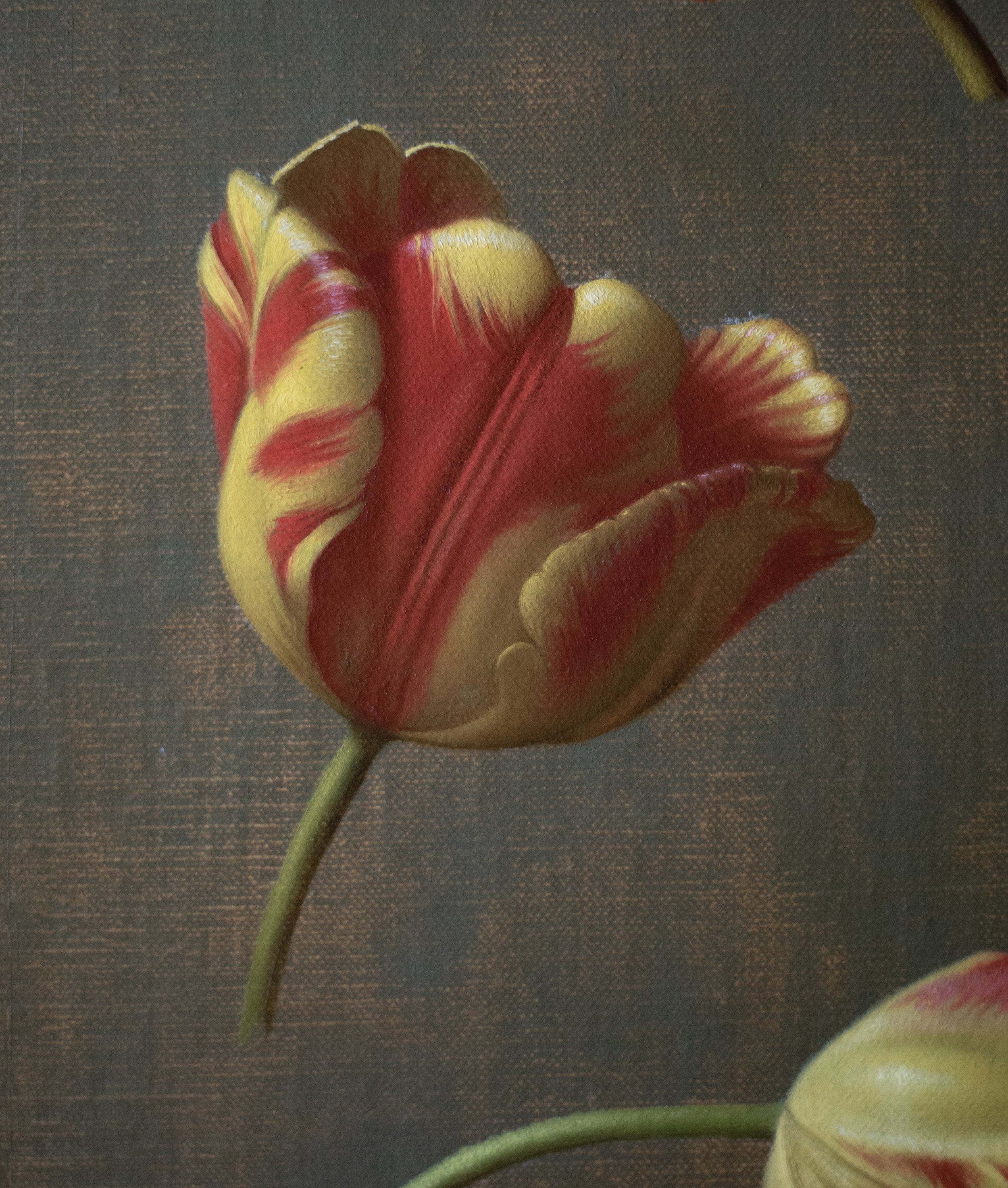 Tulip Detail 10.jpg