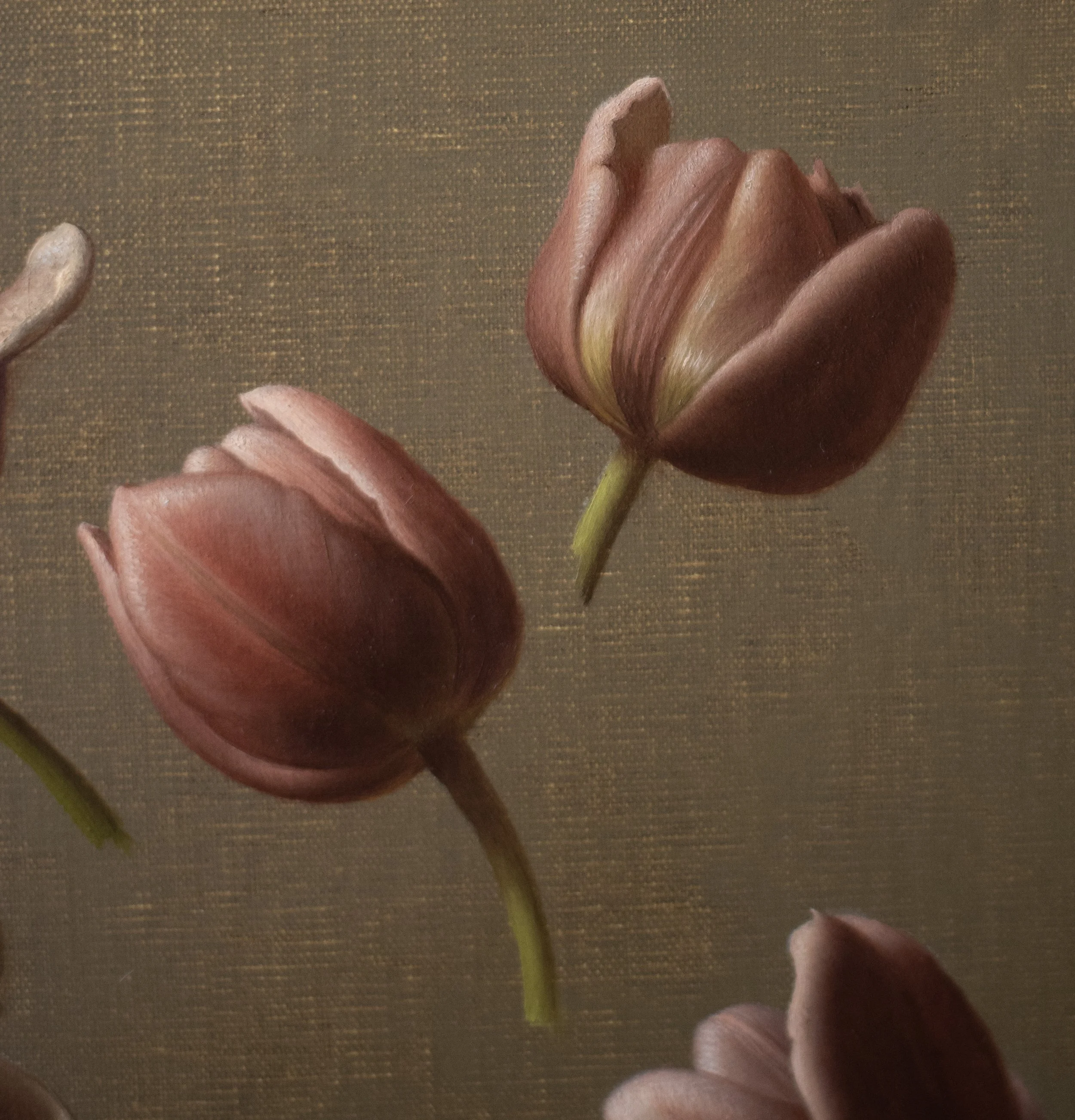 Tulip Detail 11.jpg