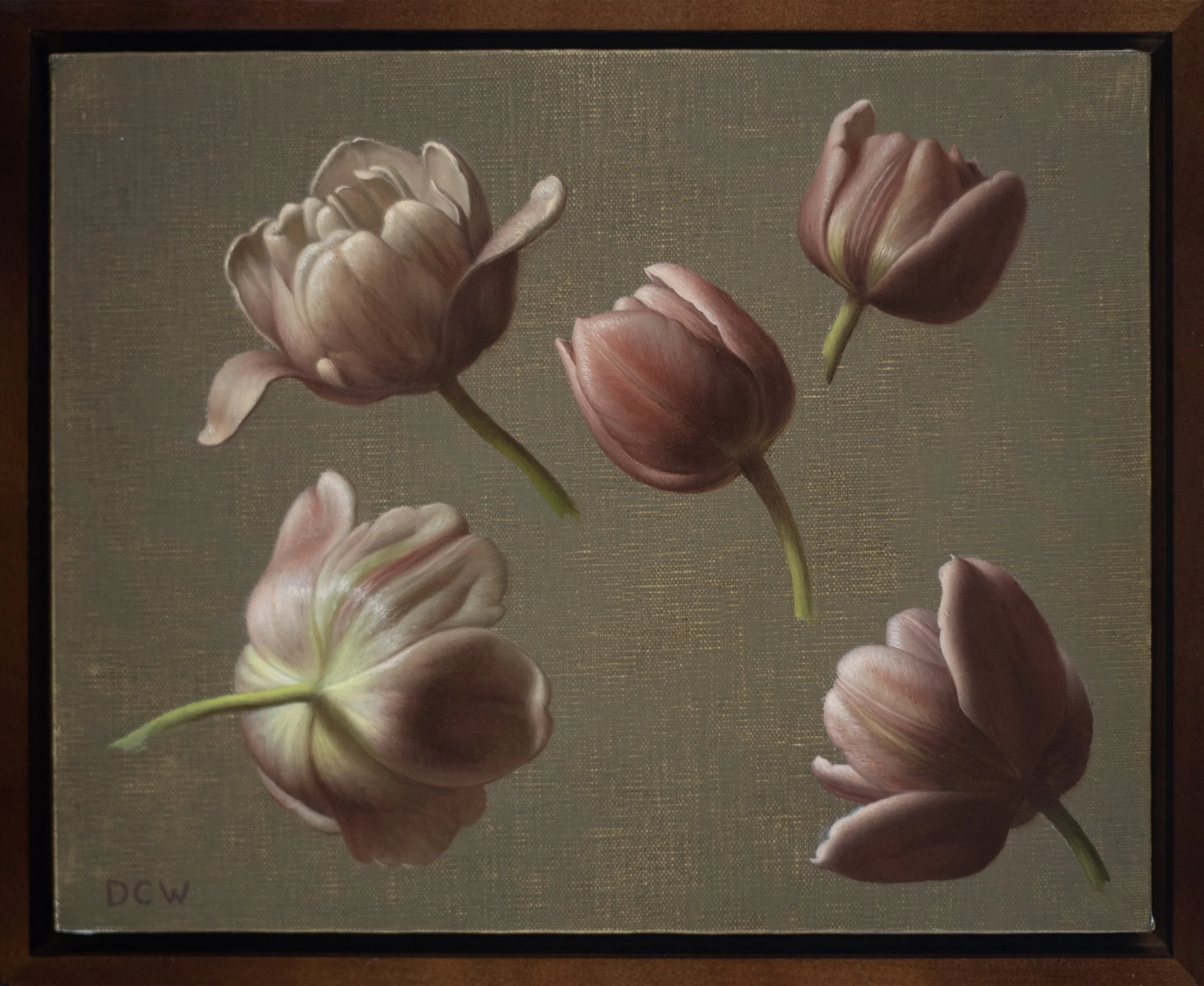 Brown Tulip Studies.jpg