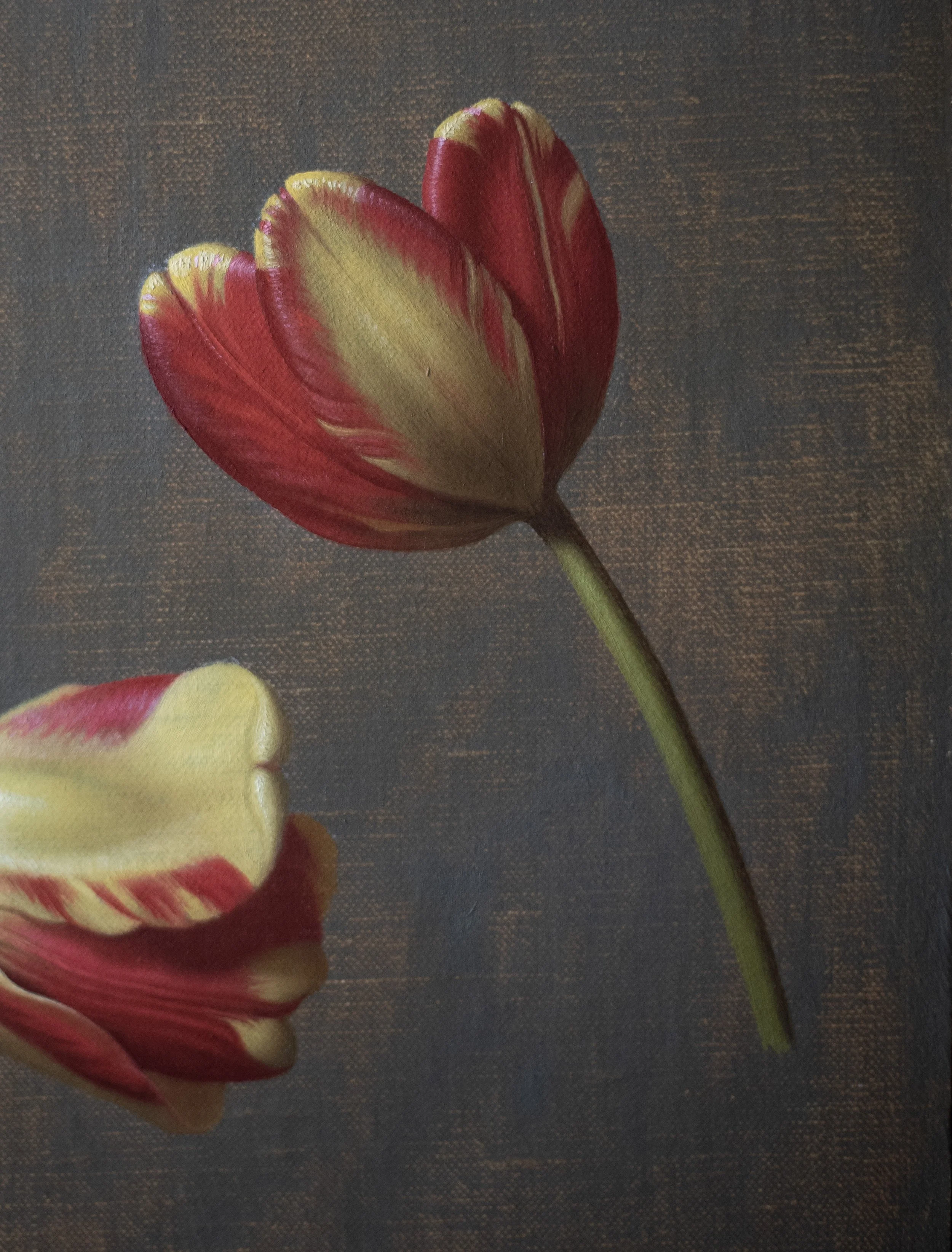 Tulip Detail 7.jpg