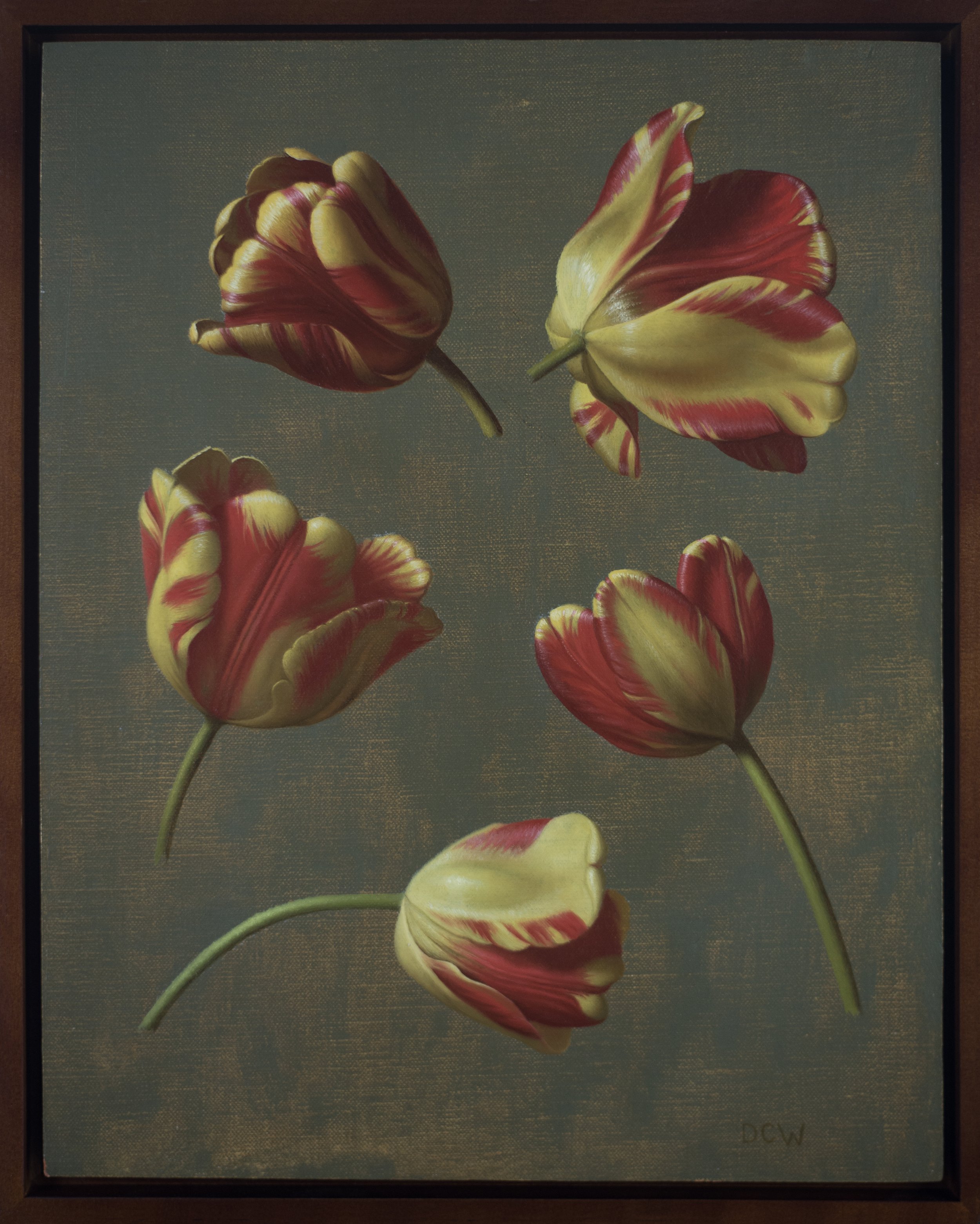 Red and Yellow Tulip Studies.jpg