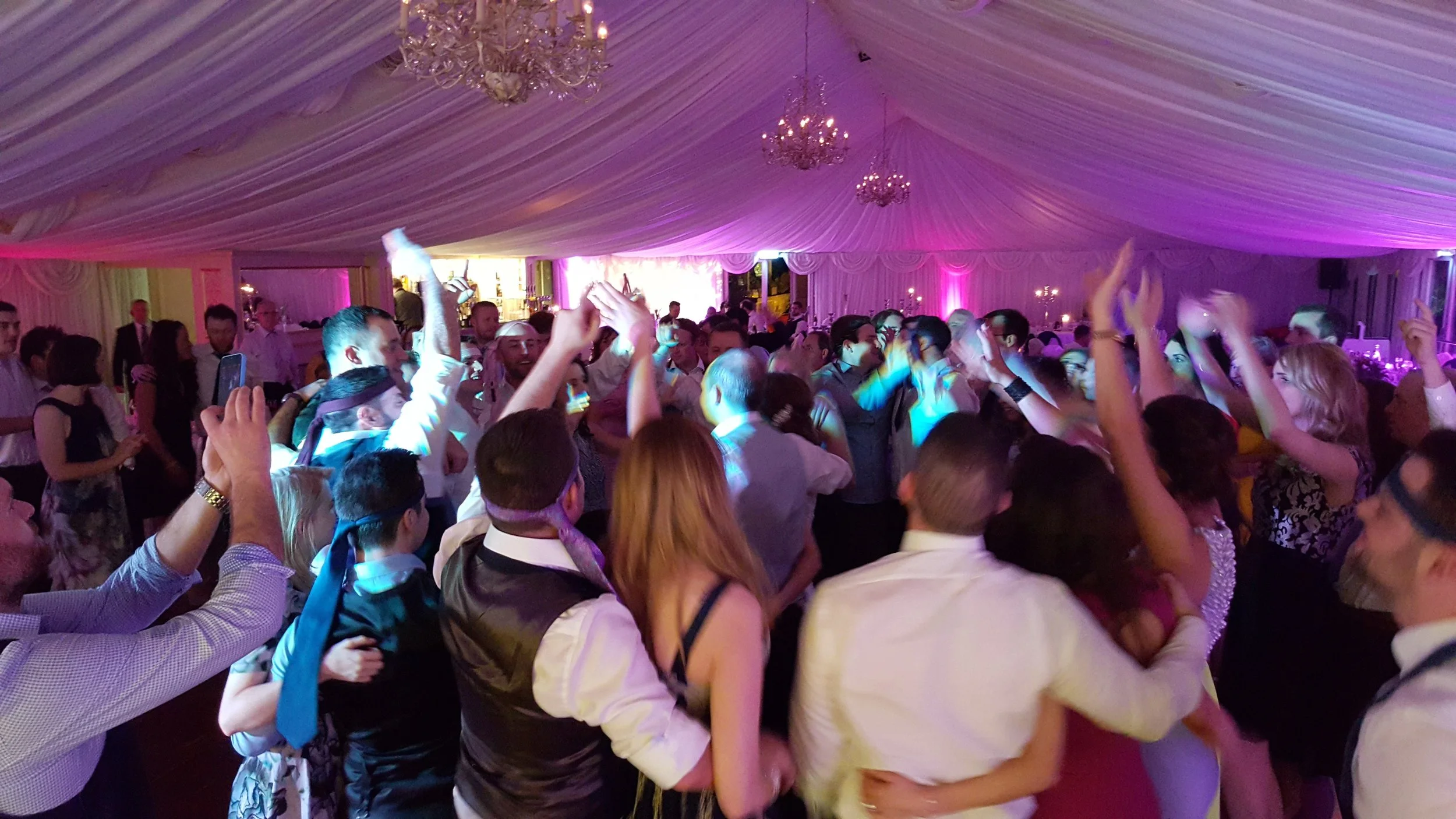 The Trips @ Castle Leslie Oct 2015.jpg
