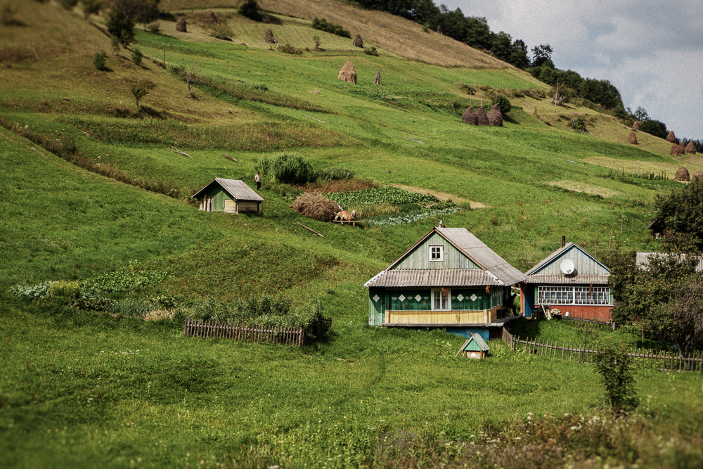 IN THE CARPATHIANS - Western Ukraine