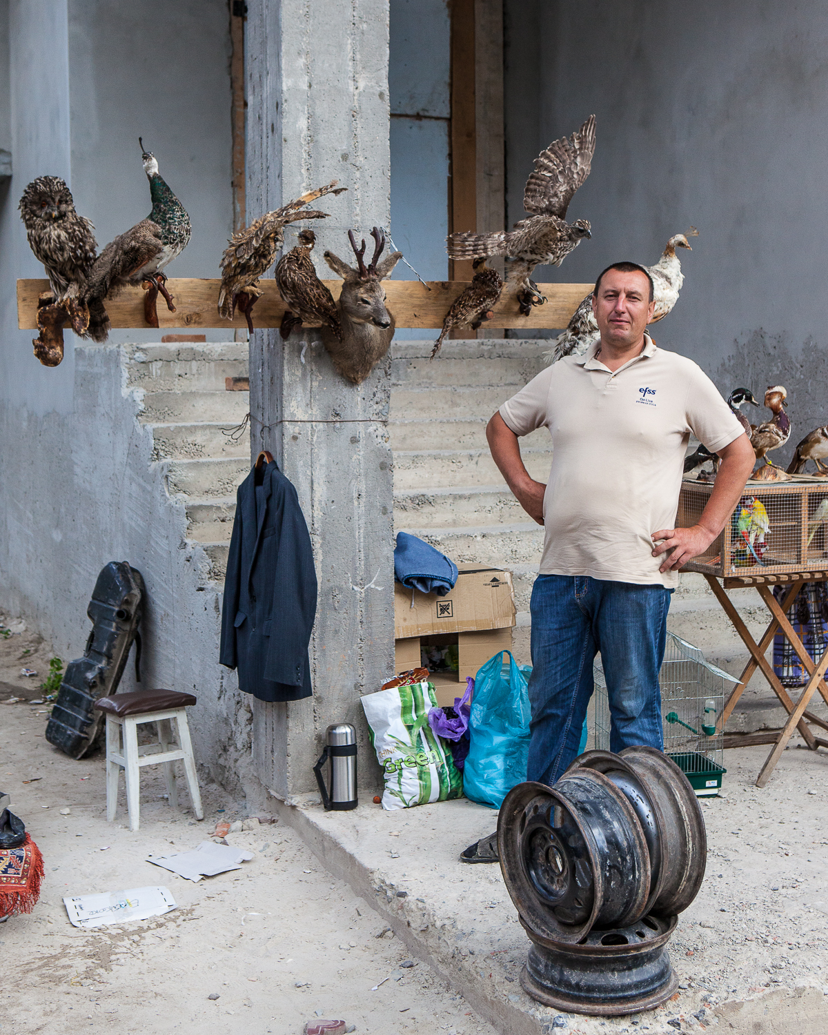 MARKET TAXIDERMIST - Western Ukraine