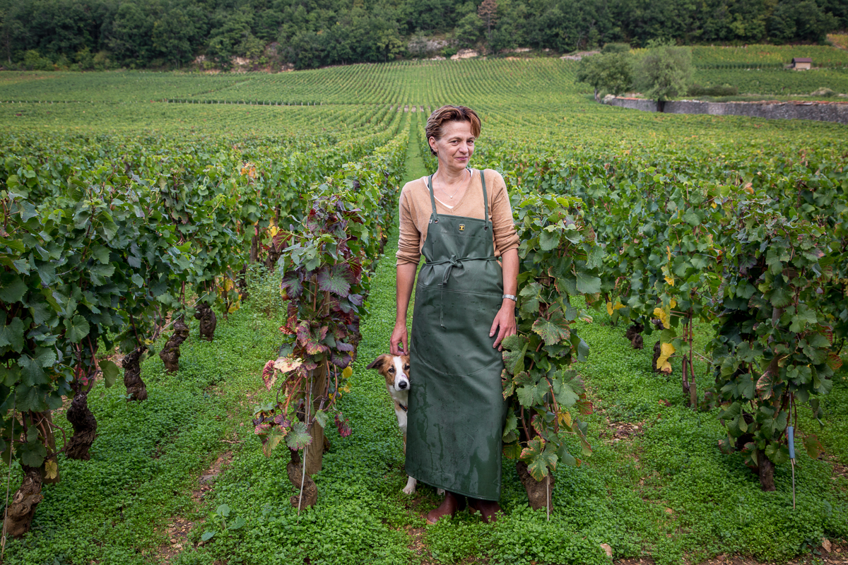 Sylvie Esmonin and her dog Justy. Domaine Sylvie Esmonin, Gevery-Chambertin, Burgundy