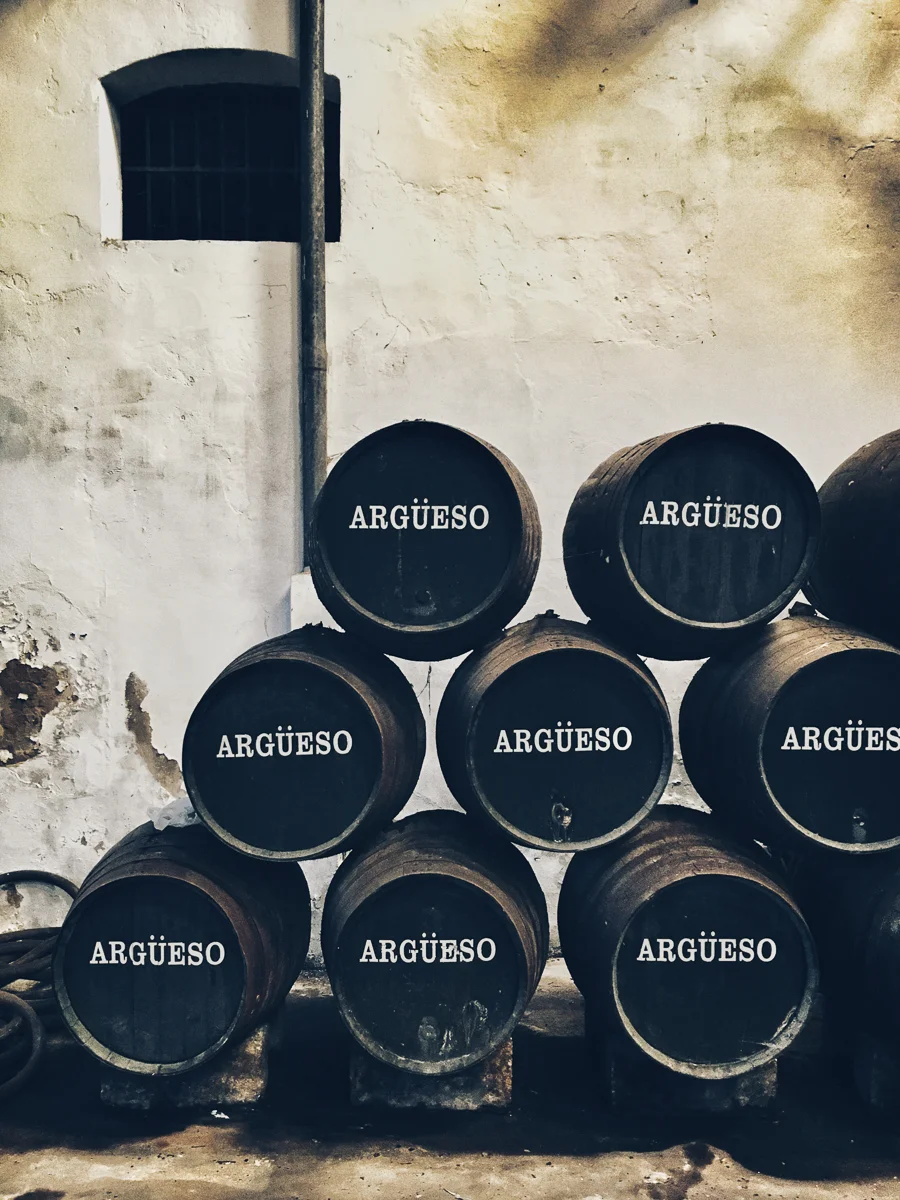 Bodegas Argüeso, Sanlucar de Barrameda, Spain Personal project (To see more images please go to the ‘Travels in the Sherry Triangle’ link in the ‘Projects’ section of this website