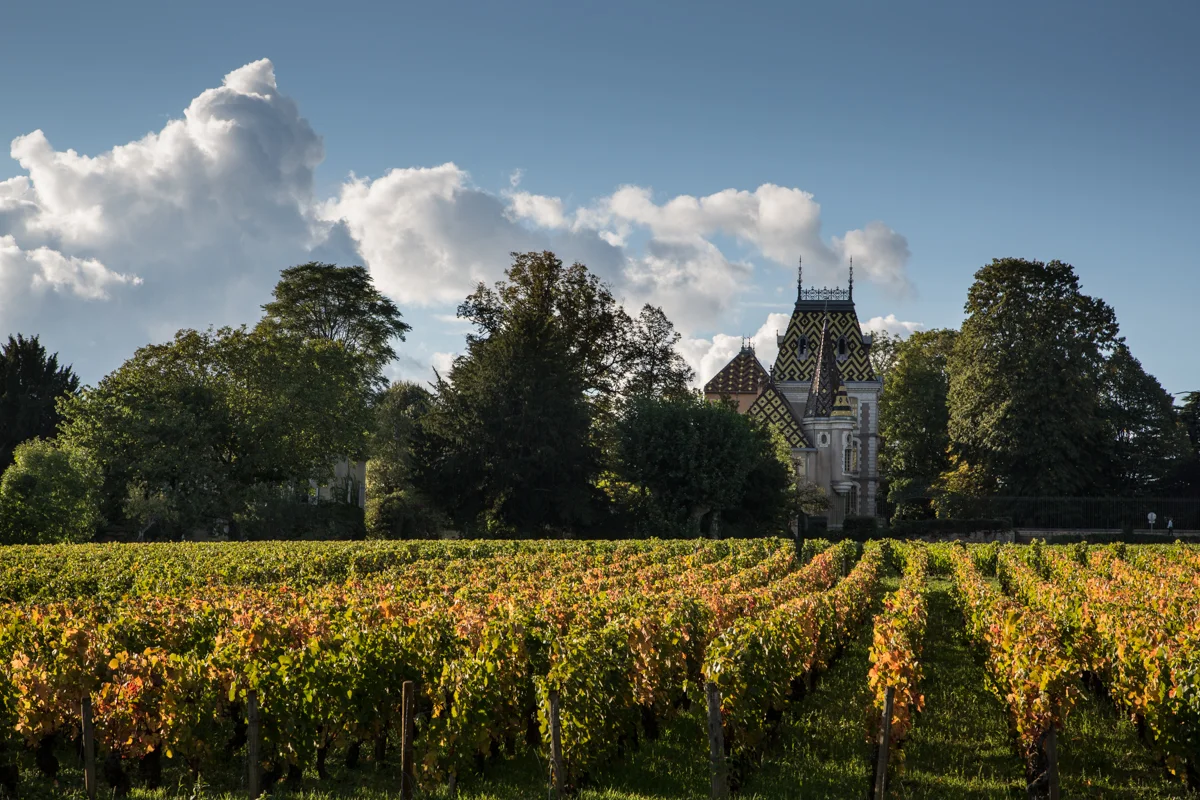 Aloxe-Corton, Burgundy