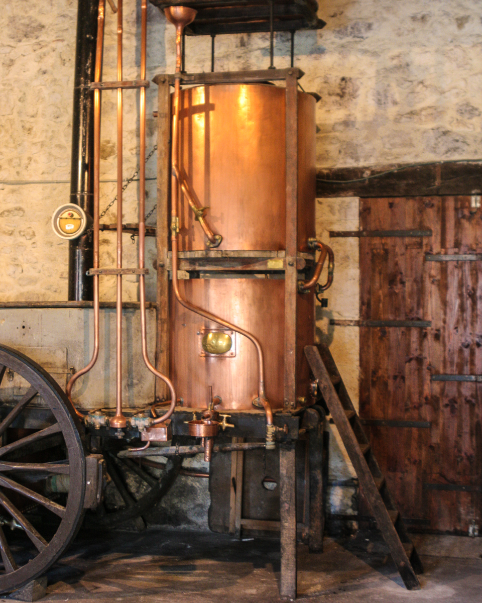 GASCONY-2.jpg