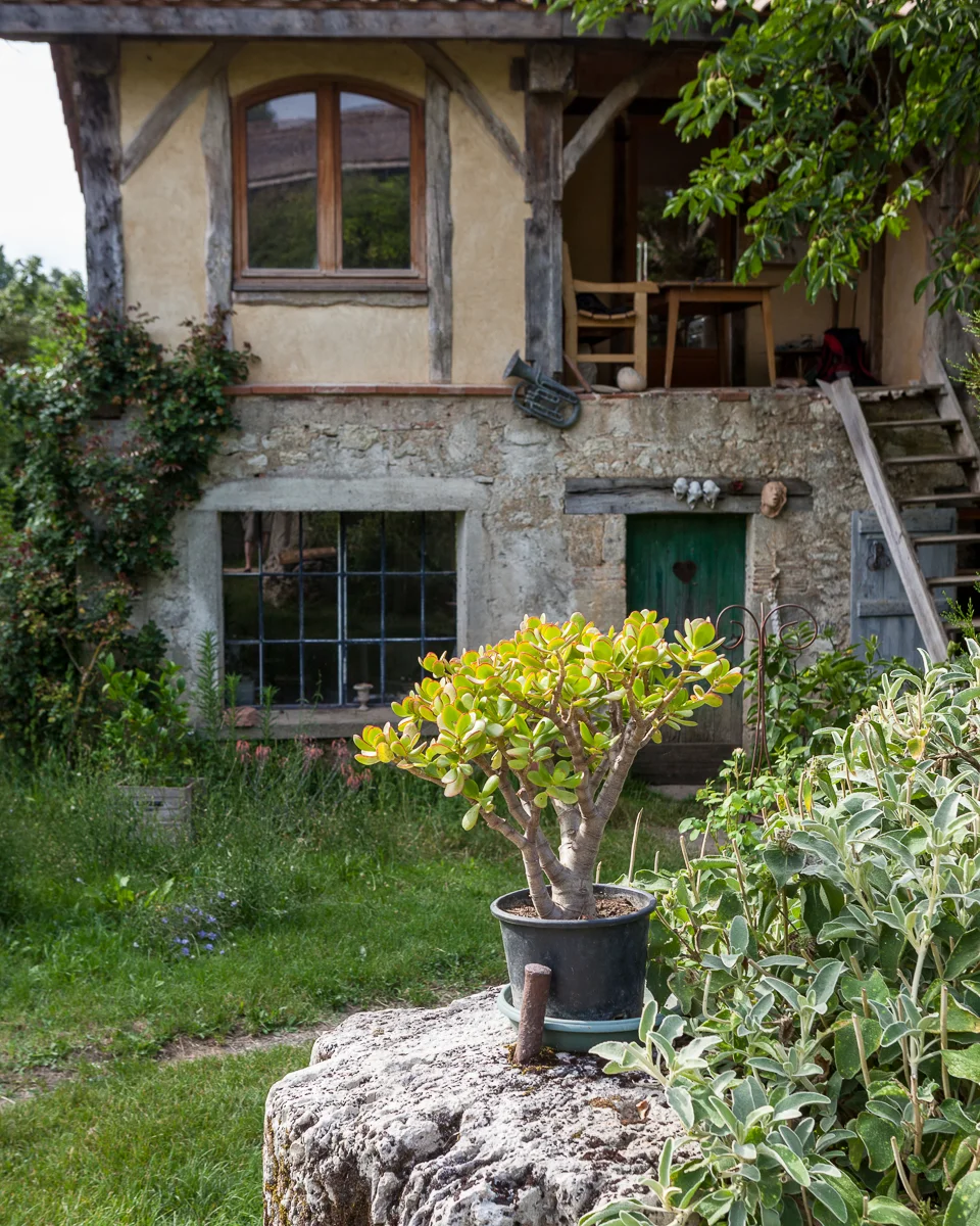 GASCONY-18.jpg