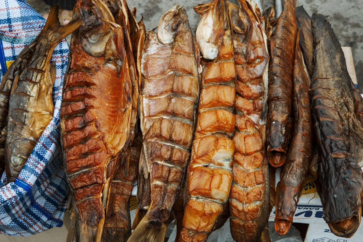 CARPS WEB-1.jpg