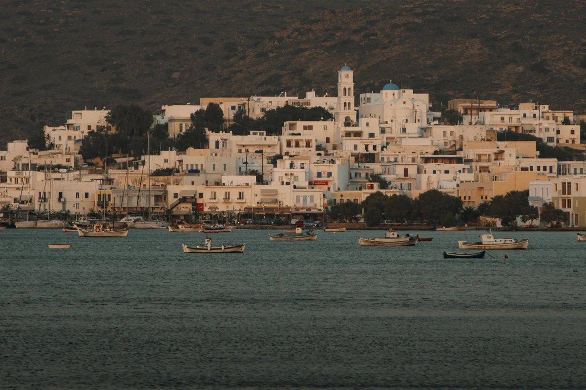 MILOSWEB final-2.jpg