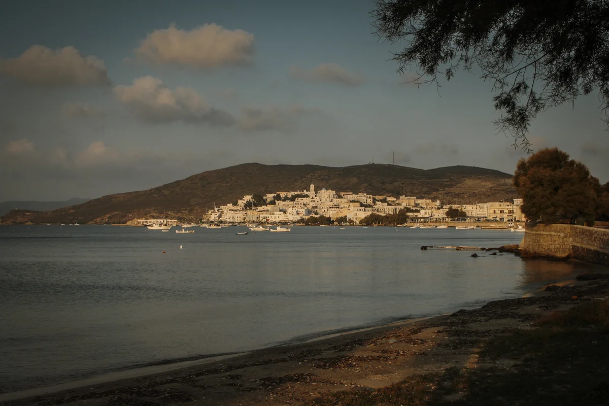 MILOSWEB final-3.jpg